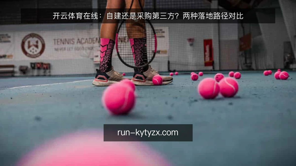 开云体育在线:自建还是采购第三方?两种落地路径对比
